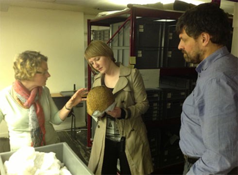 Chantal Knowles, Eve Haddow, and Neil Curtis in the museum stores at University of Aberdeen Museums collections centre.
