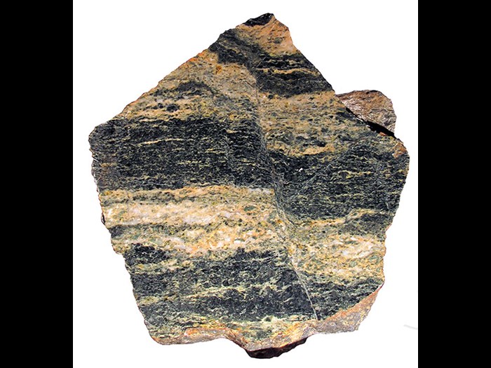 Small fault in hornblende gneiss, from Collafirth Voe, Shetland. A gneiss is a type of rock classed as metamorphic, which means it has been subject to pressures and/or temperatures that are higher than those found at the Earth surface or where it solidified (if it was originally an igneous rock). It shows the long and complex history that a rock can endure after it first forms on earth.