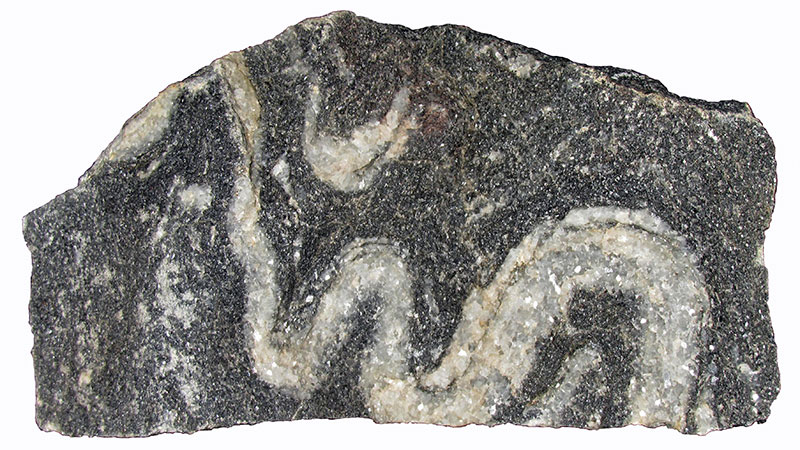 Contorted limestone, from Allt na Gonolan, Inverness-shire. Sometimes a rock can fracture if it is struck but if it is warmed and put under gradual pressure it can bend and contort. This limestone has been slowly contorted so the white vein which was originally nearly straight now curves around like a snake.