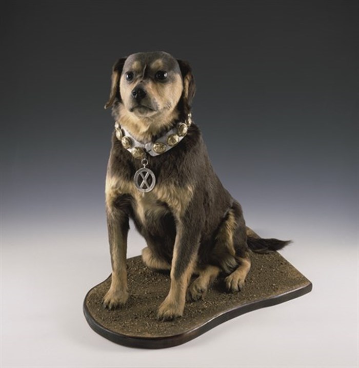 A small model of a dog called Bob.