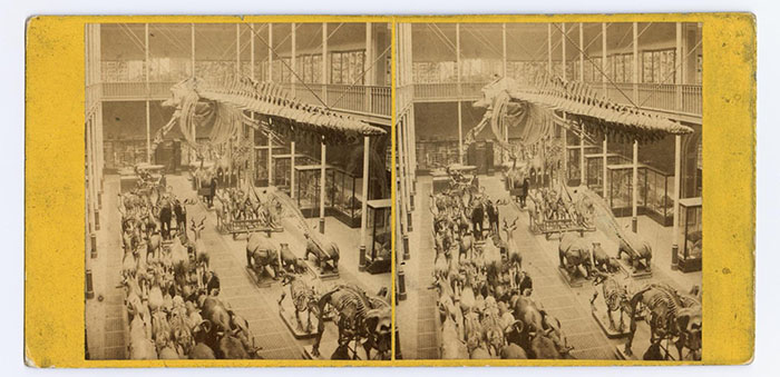 Stereocard of the Art and Science Museum, Edinburgh (now the National Museum of Scotland)