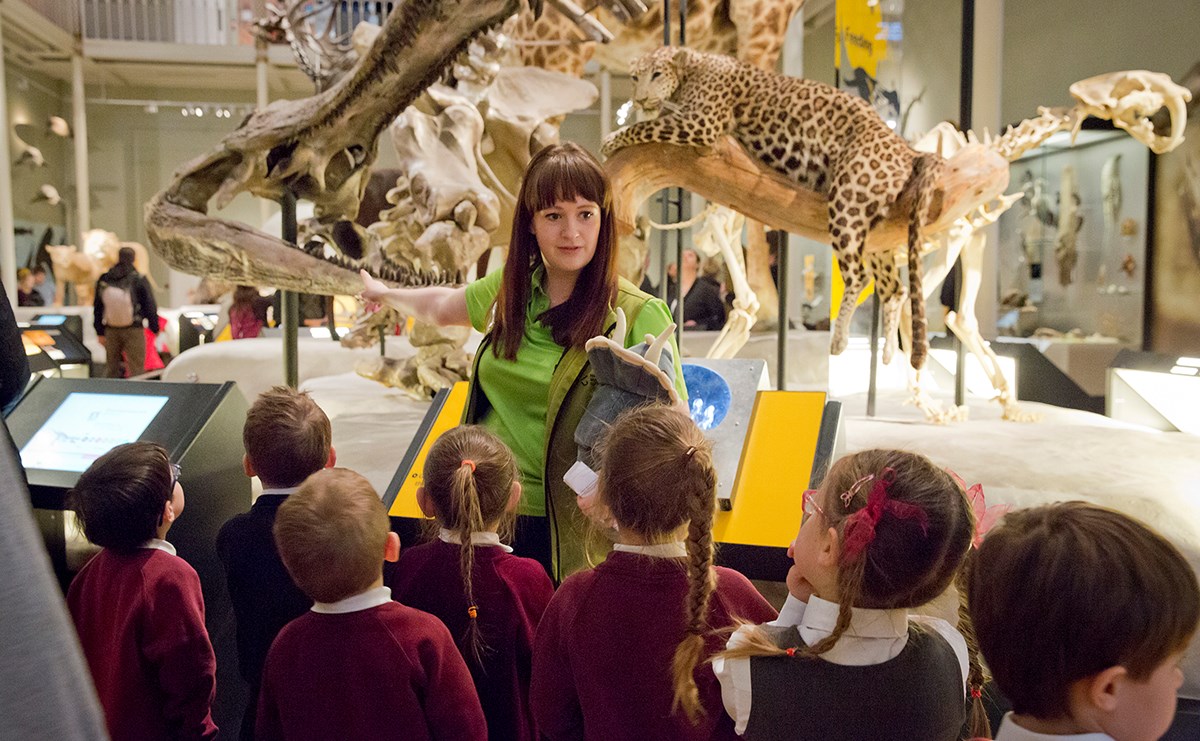 2015 Geraldine (lime green) and pupils in Animal world