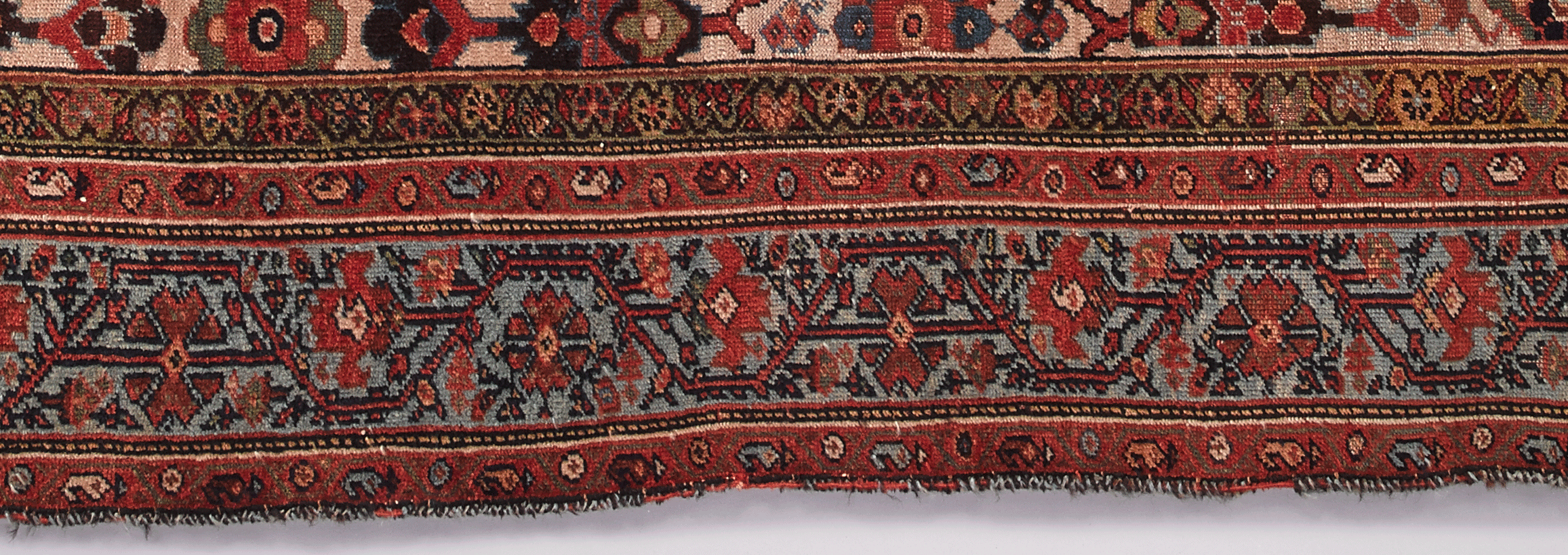 Above: A section of the border of the rug.