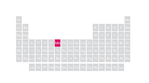 Manganese Periodic Table