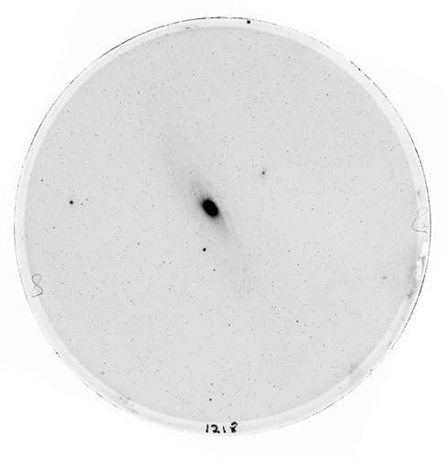 Negative image taken by the Schmidt camera at the Royal Observatory, Edinburgh on 8 February 1969 showing the M31 galaxy. Image © Royal Observatory, Edinburgh.
