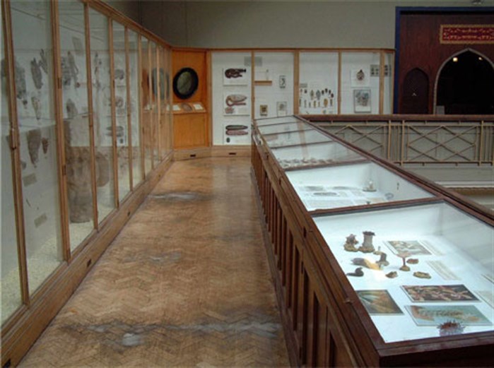The models on display in the old Royal Museum building.