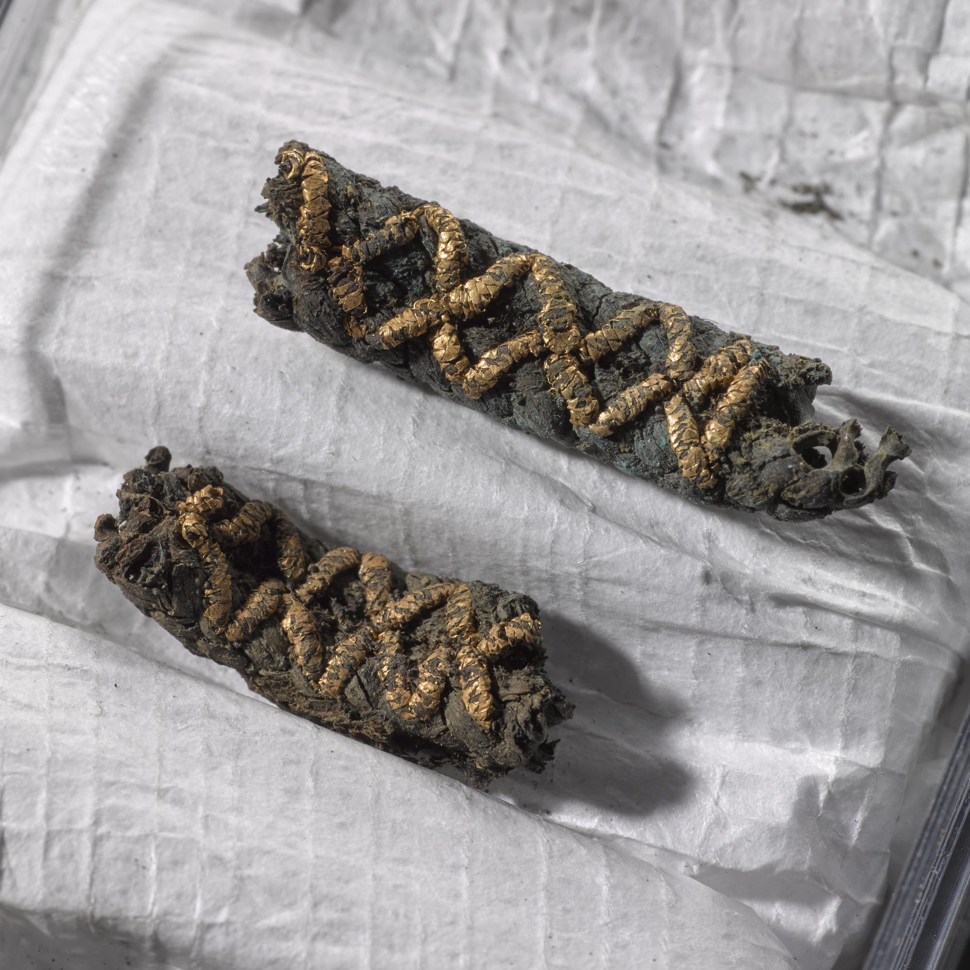 Image of Braid, from the Viking age Galloway Hoard © National Museums Scotland