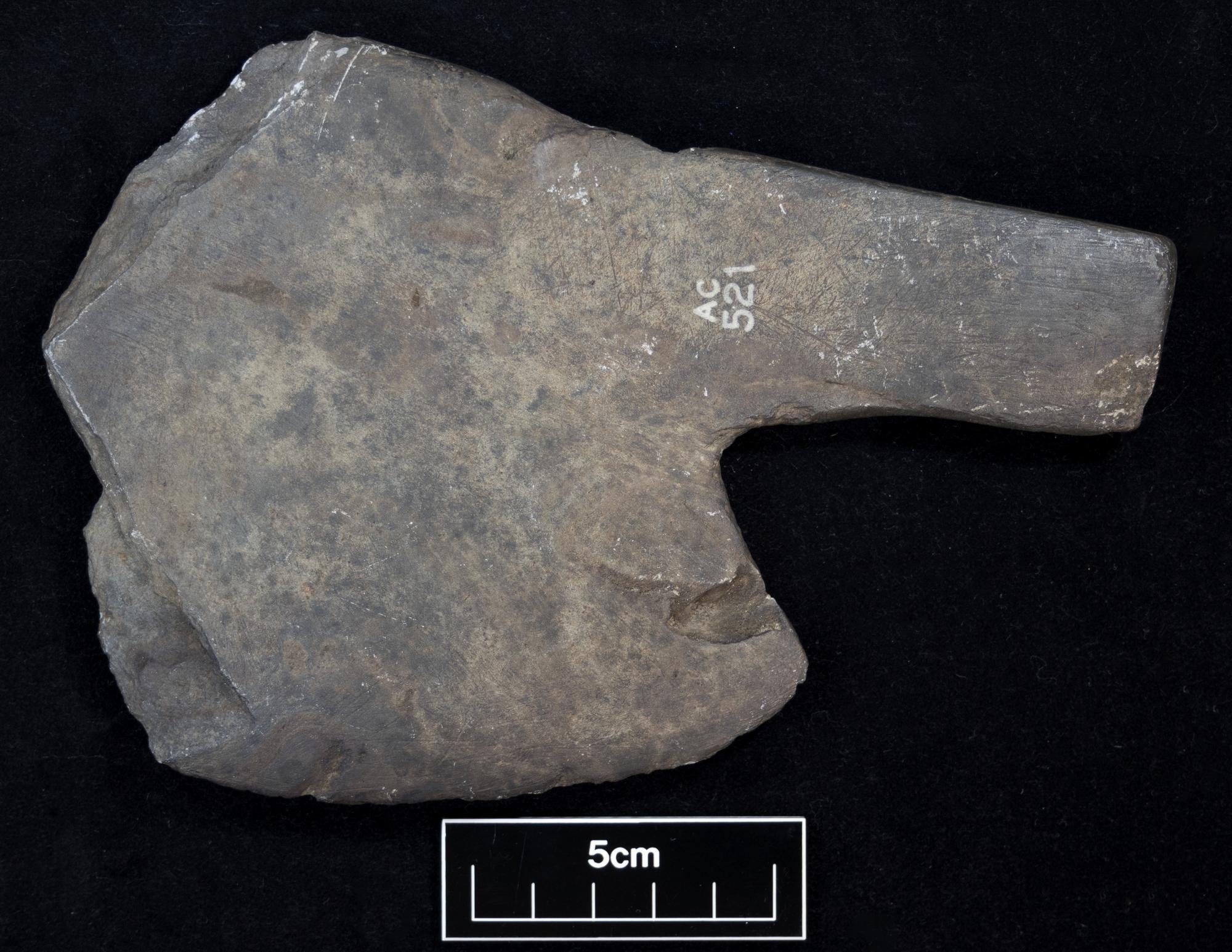 Image of Stone cleaver or knife with curved edge and handle fragment, from Lerwick, Shetland © National Museums Scotland