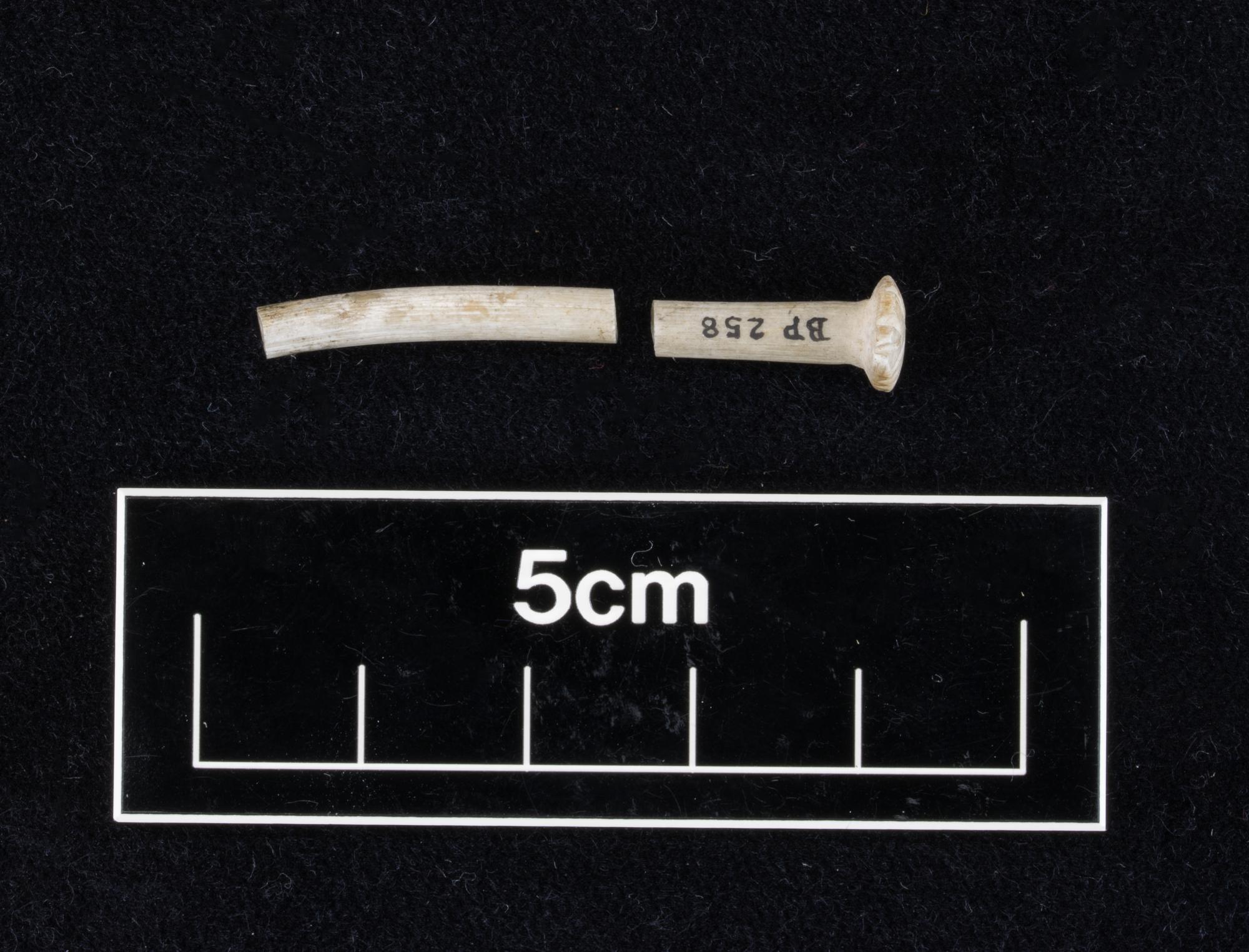 Image of Pin (Nål) of bone with round head, in two pieces wit tip missing, Neolithic, from Denmark © National Museums Scotland