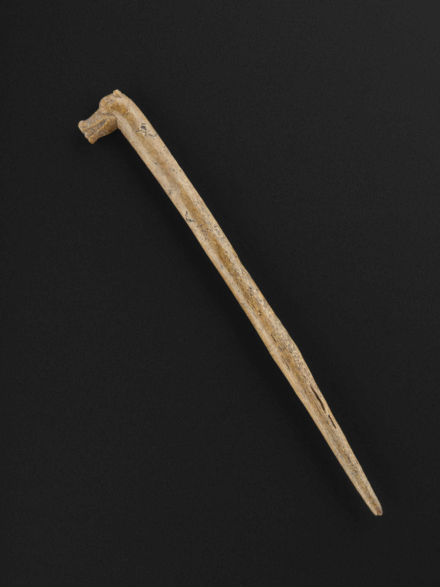 Image of Zoomorphic bone pin from Kerrera, Argyll, Pictish, 700 - 900 AD © National Museums Scotland