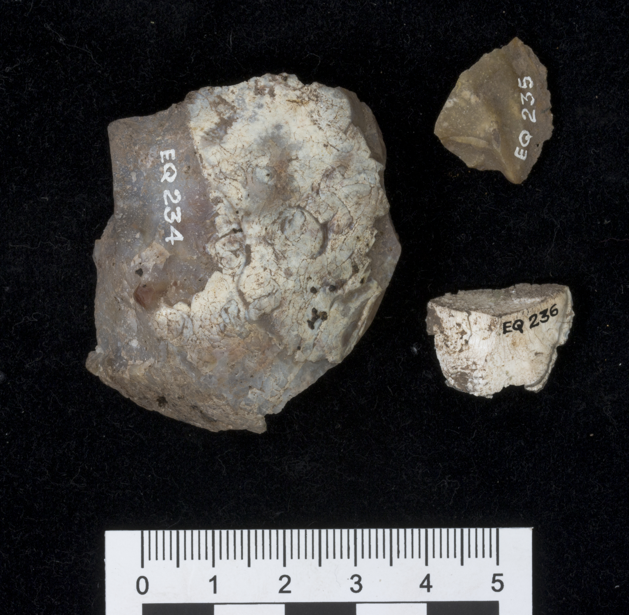 Image of Burnt flint flake from Gilchorn Farm, Angus © National Museums Scotland