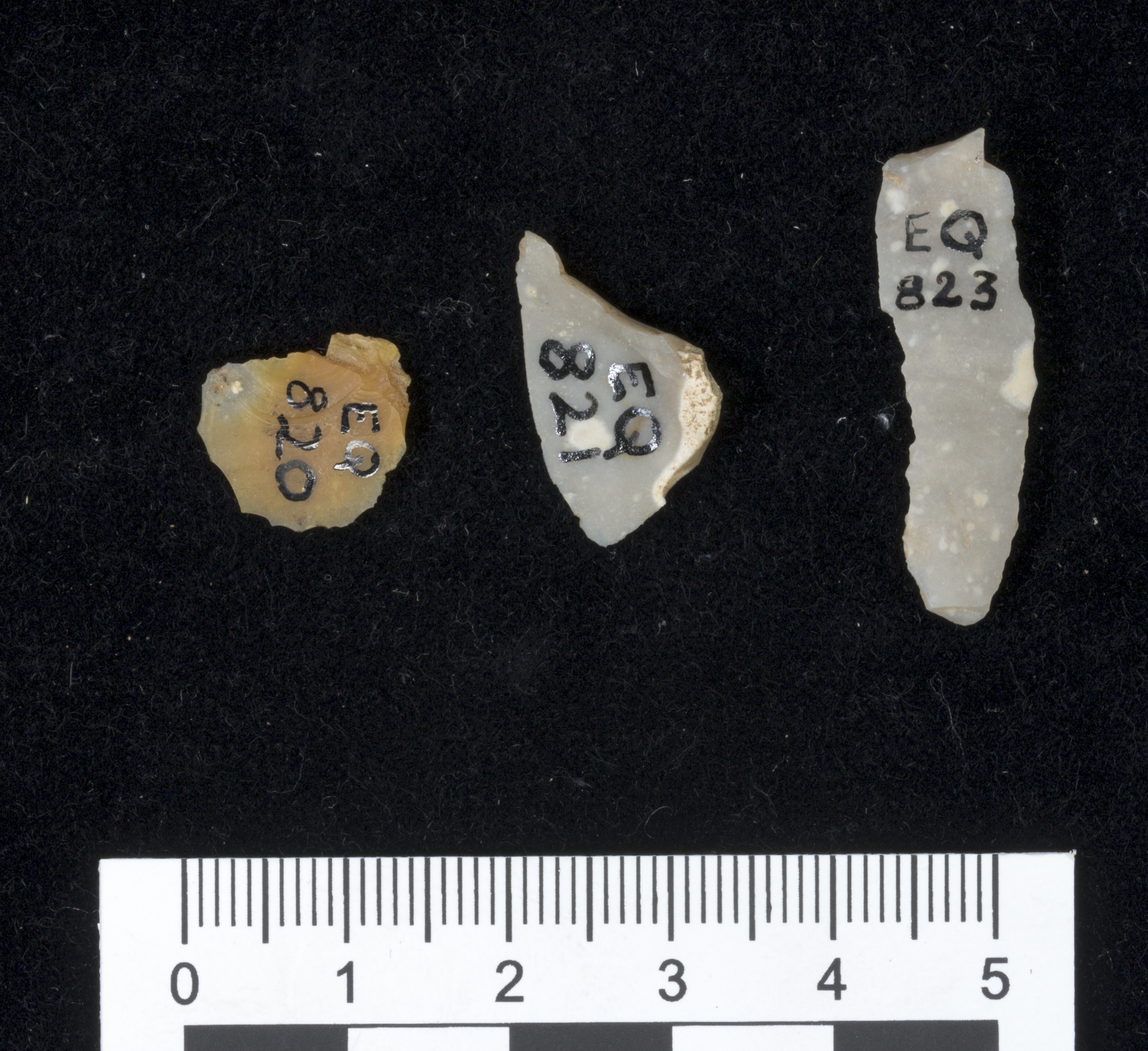 Image of Small grey flint flake from Almondbank, near Perth © National Museums Scotland