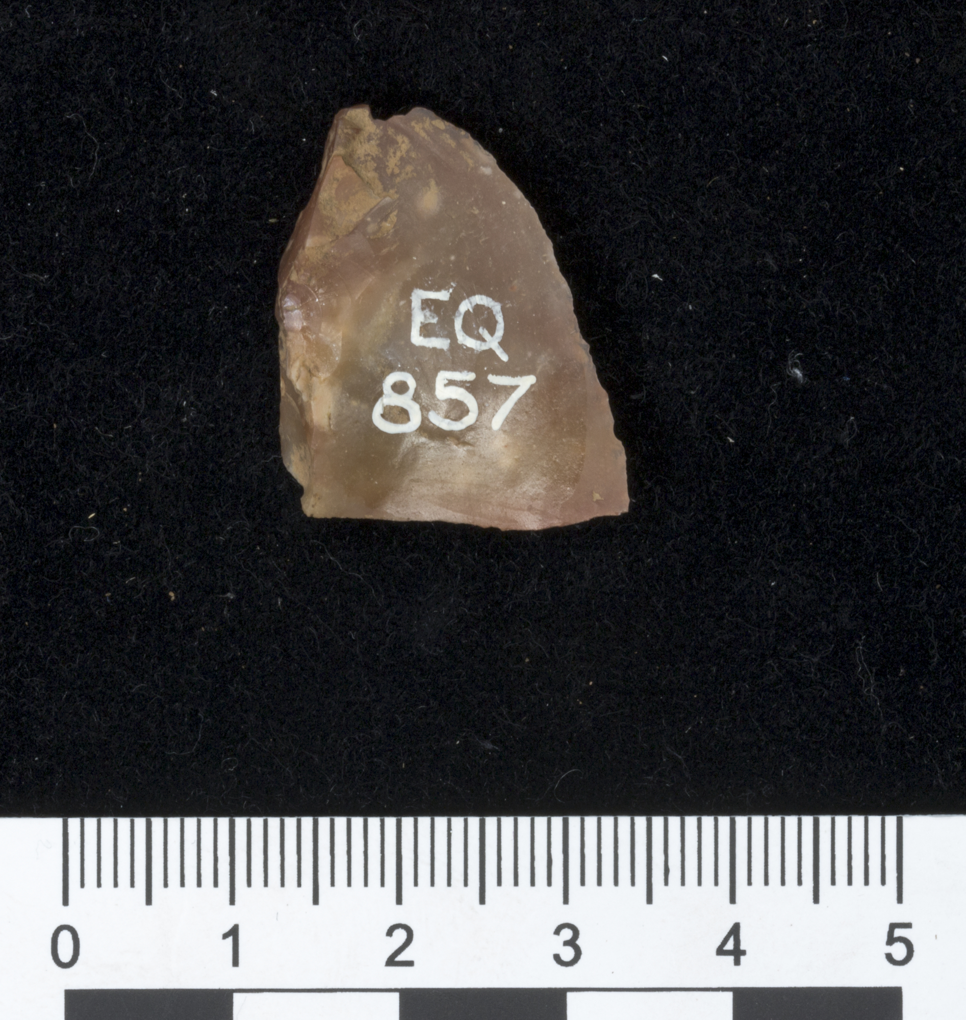 Image of Triangular flake of ginger-brown flint, retouched along one curved edge, from a cist at Almondbank, Perthshire © National Museums Scotland