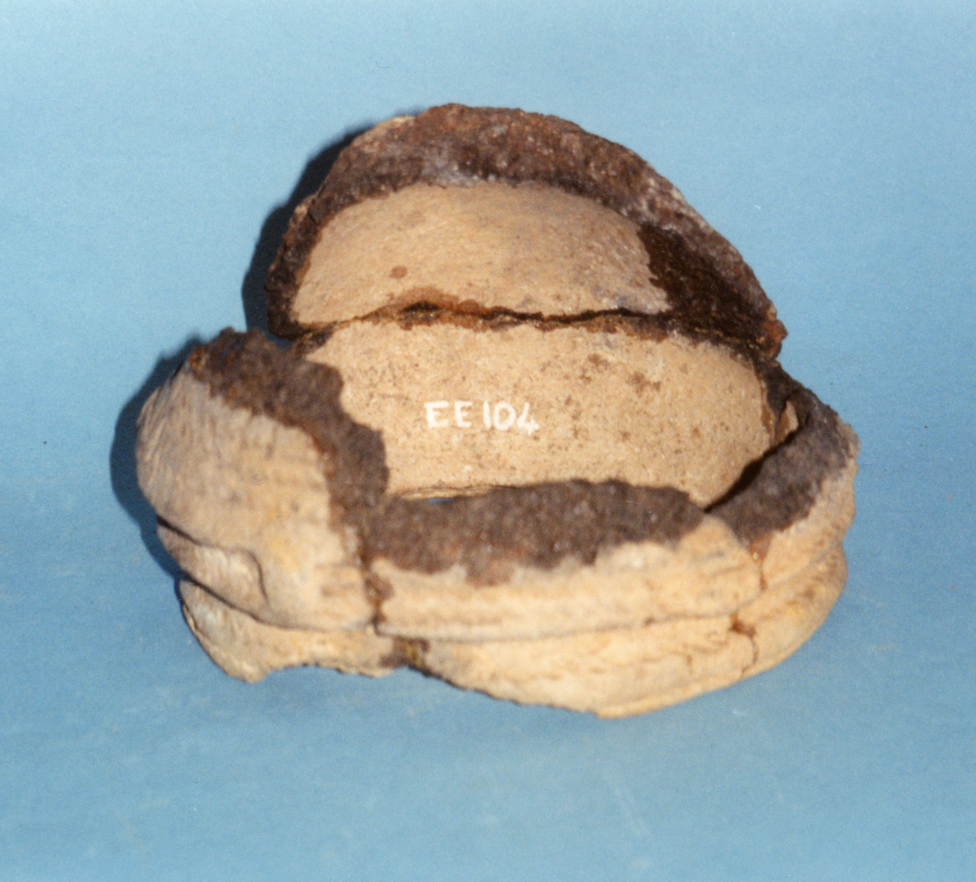 Image of Pottery food vessel from a cist near Danes