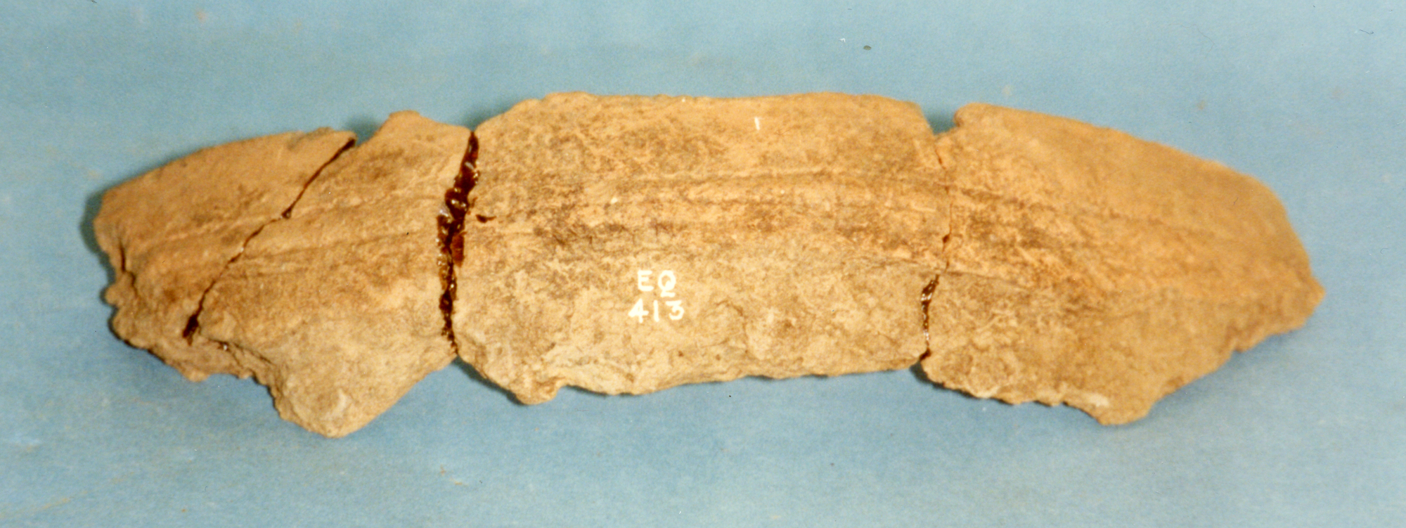 Image of Pottery / cinerary urn / sherd, from Drummelzier cairn, Peeblesshire © National Museums Scotland