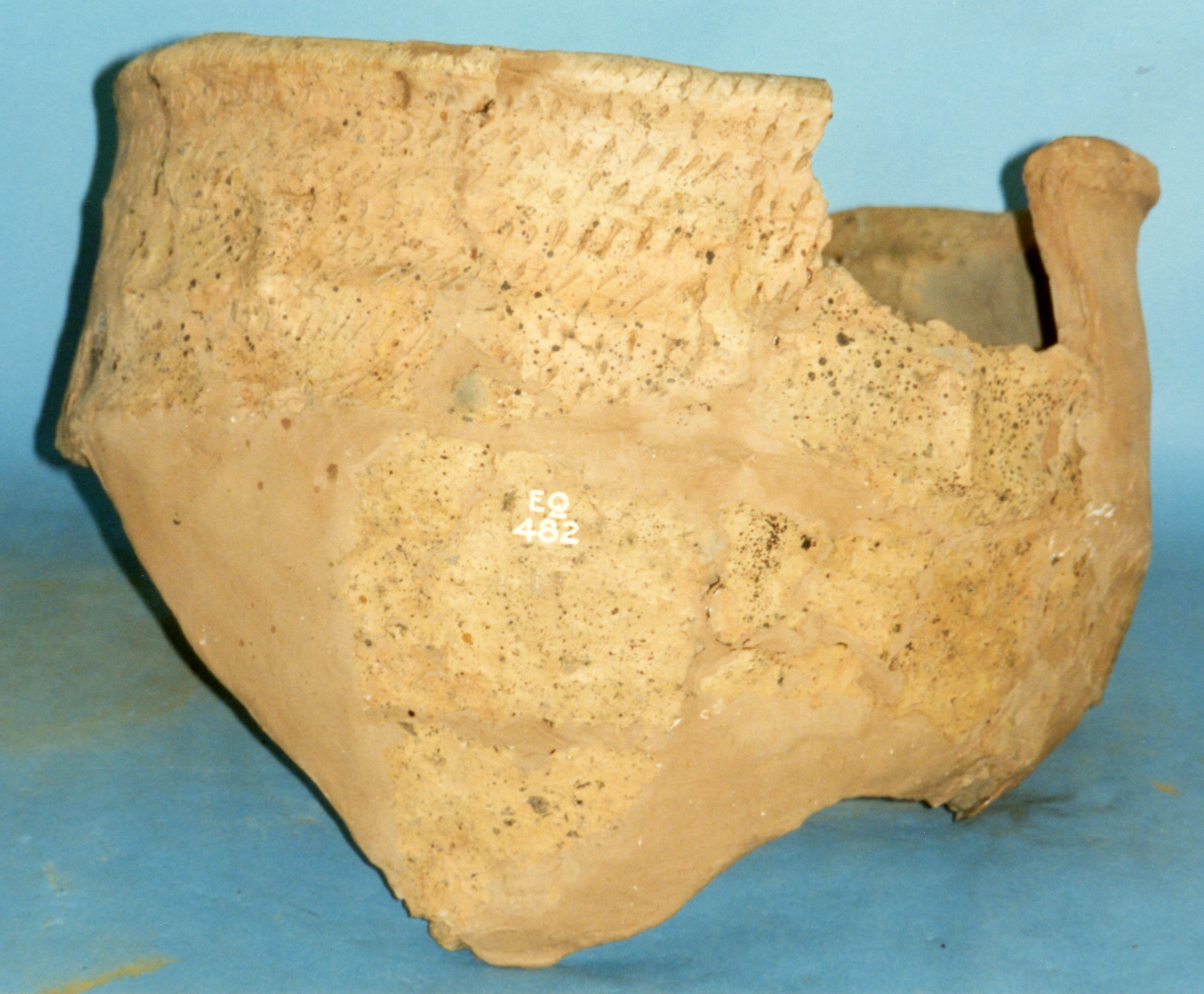Image of Cinerary urn fragment, from Estate of Balnamoon, Balrownie, Brechin, Angus © National Museums Scotland