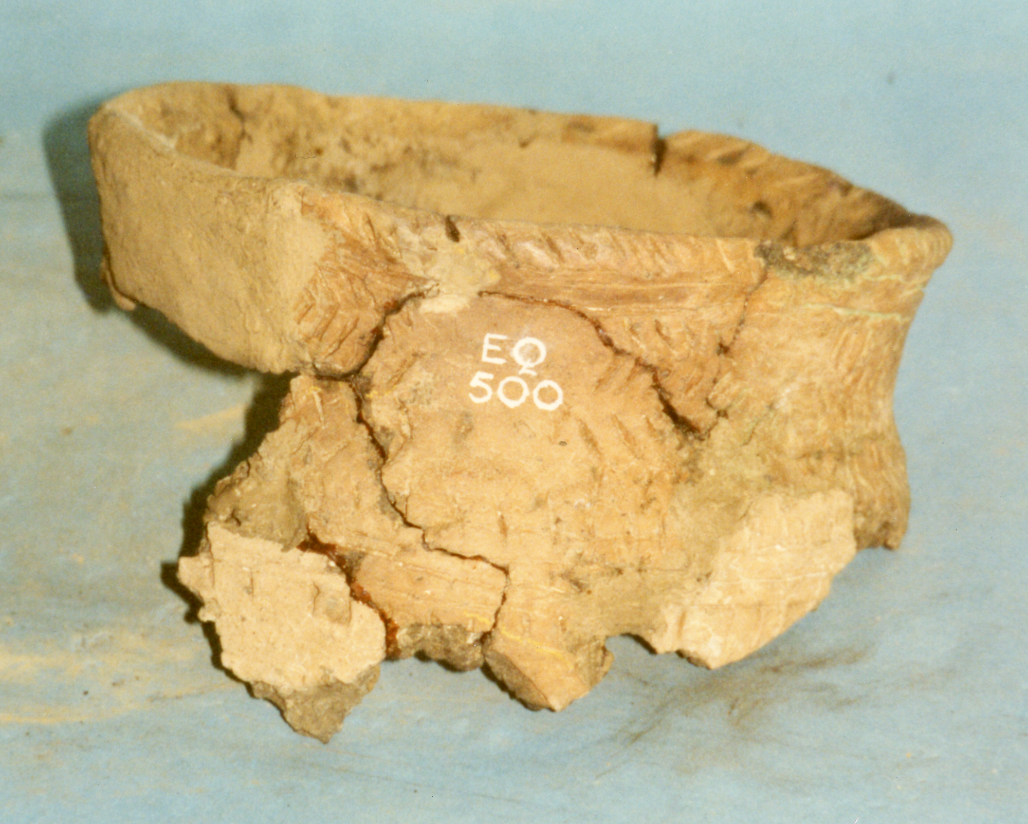 Image of Sherd of Beaker pottery from Longniddry Golf Course, East Lothian © National Museums Scotland