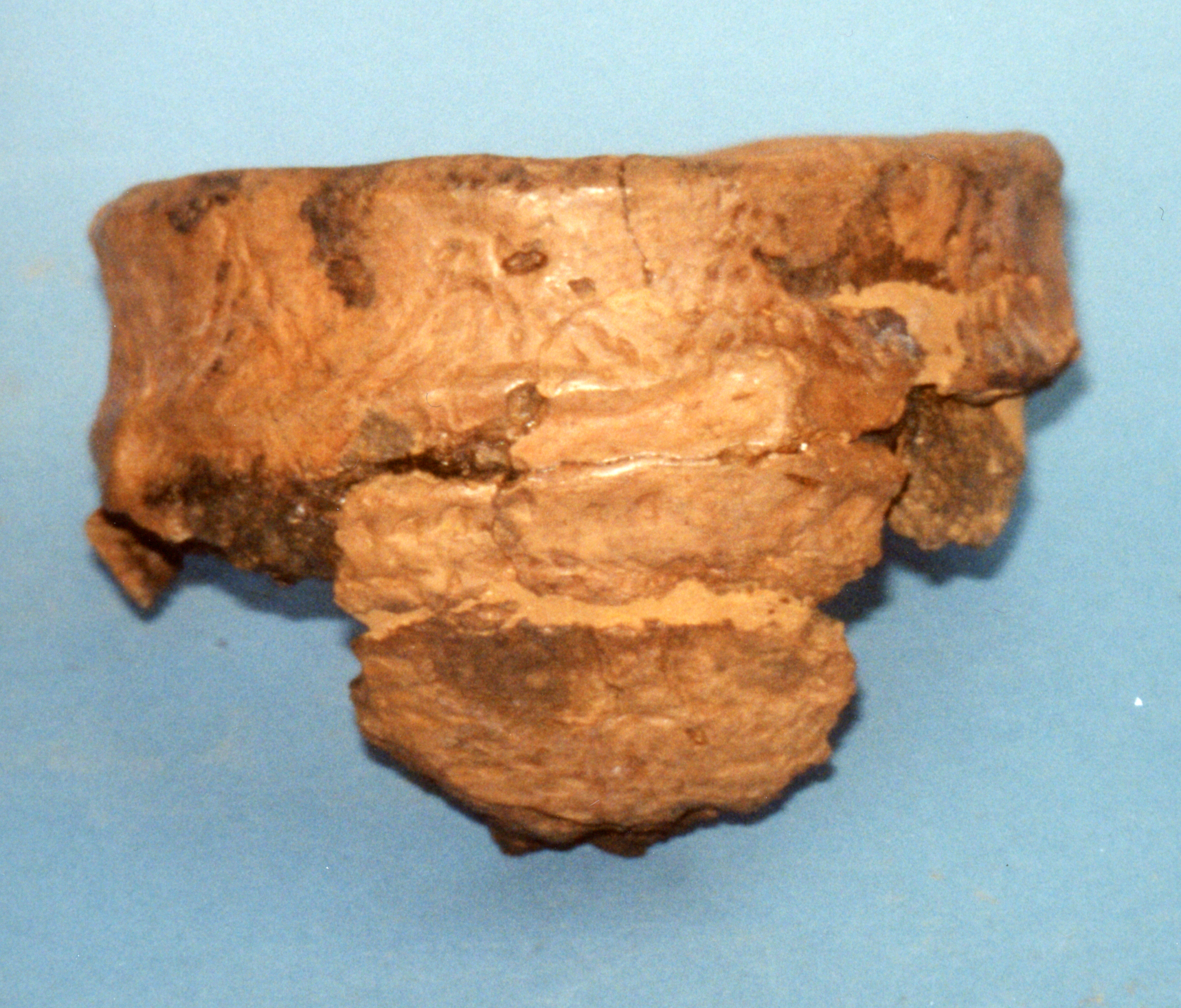 Image of Pottery food vessel, from Limefield Farm, Wiston, Lanarkshire © National Museums Scotland