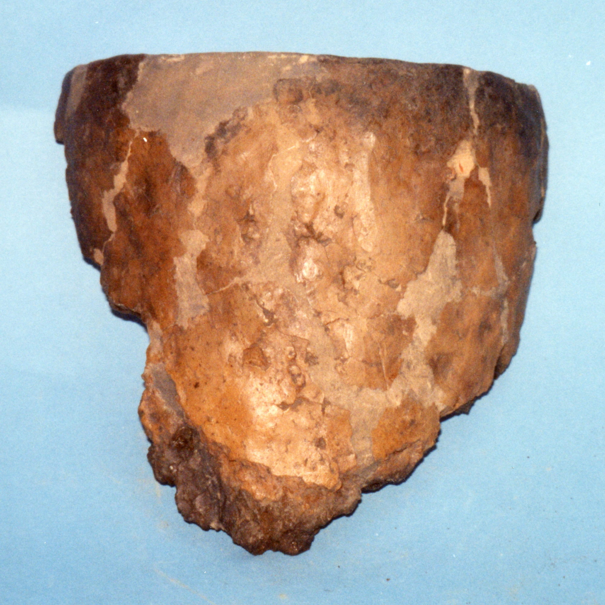 Image of Cinerary urn fragment, from Limefield Farm, Wiston, Lanarkshire © National Museums Scotland