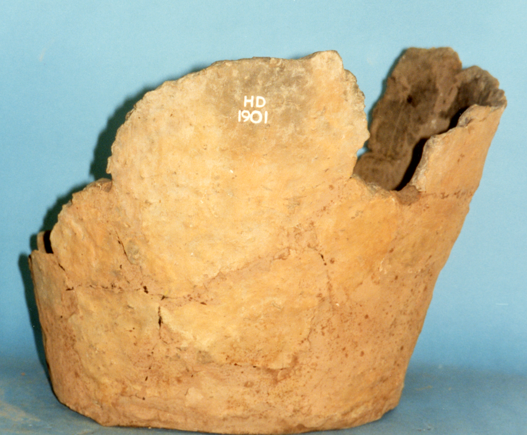 Image of Pottery sherd, from Hatston, Orkney © National Museums Scotland
