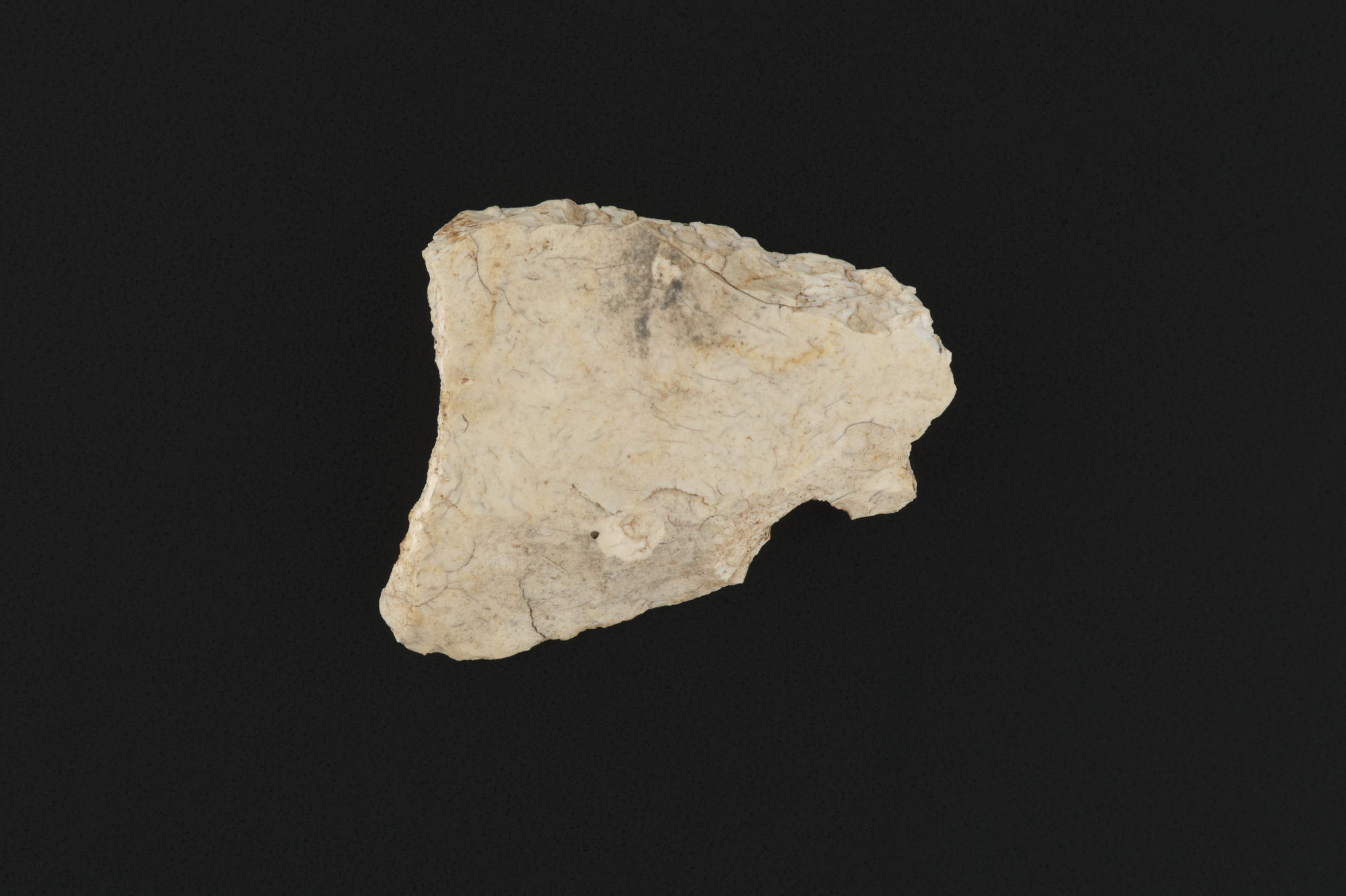 Image of Fragment of a burnt flint tool, possibly a knife, Early Bronze Age, Bargrennan White Cairn, Kirkcudbrightshire © National Museums Scotland