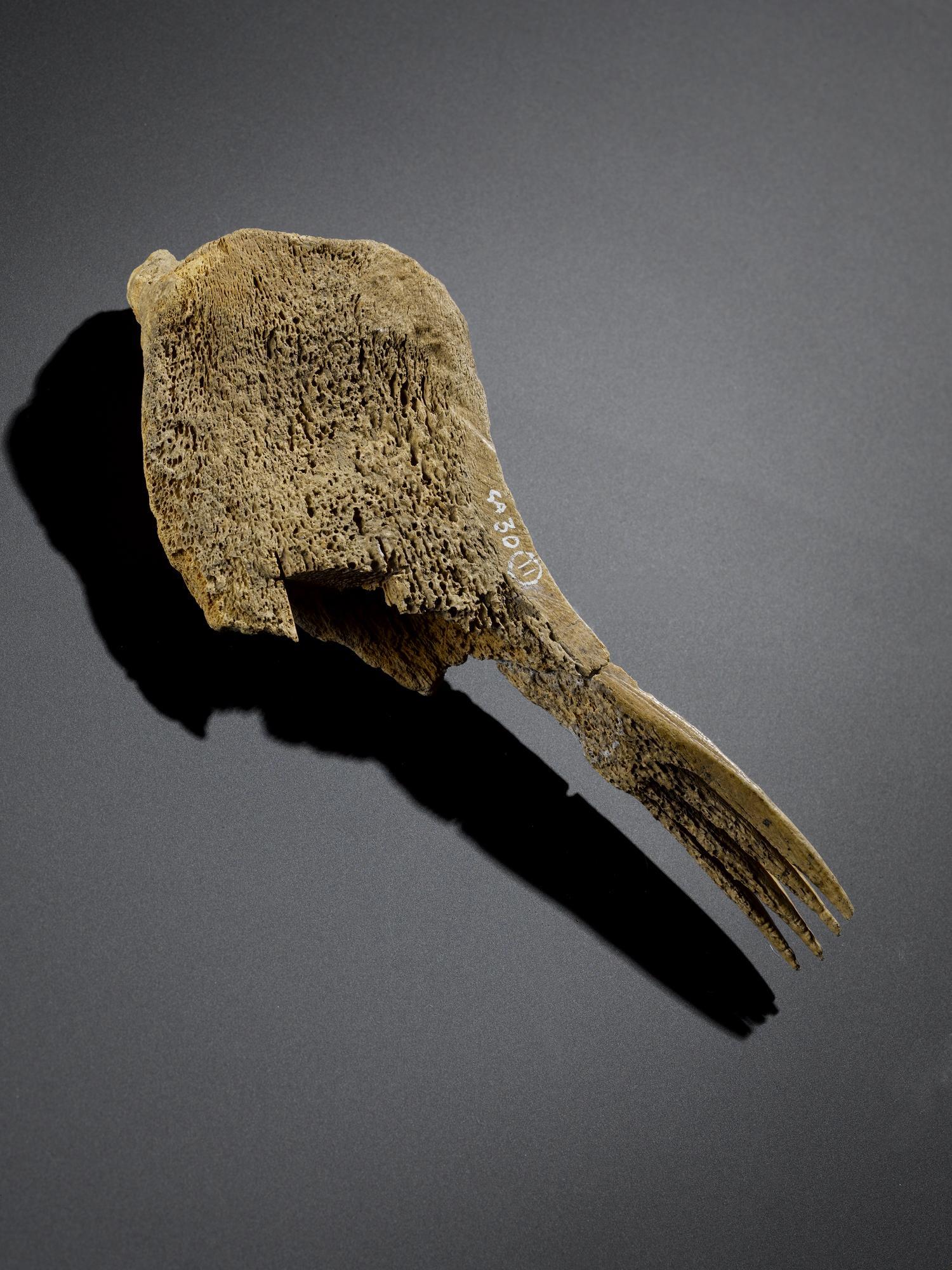 Image of Pin or bodkin or implement, from a broch in Orkney © National Museums Scotland