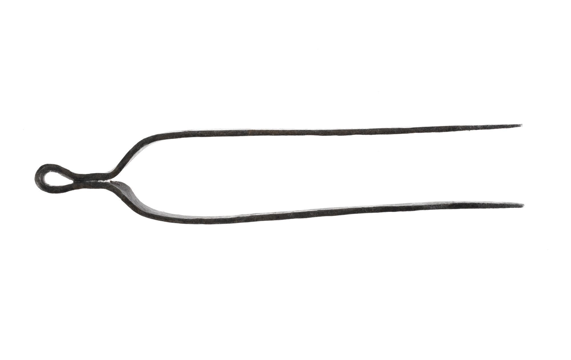 Tweezers / tongs