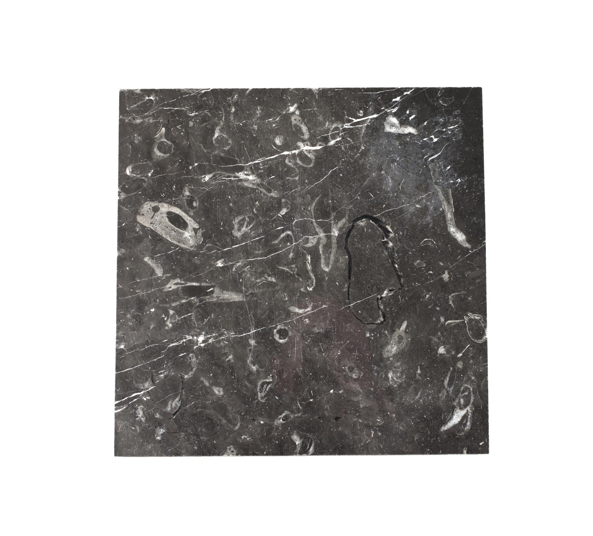 Marble, fossiliferous